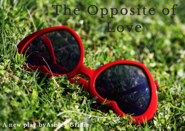 The Opposite of Love 