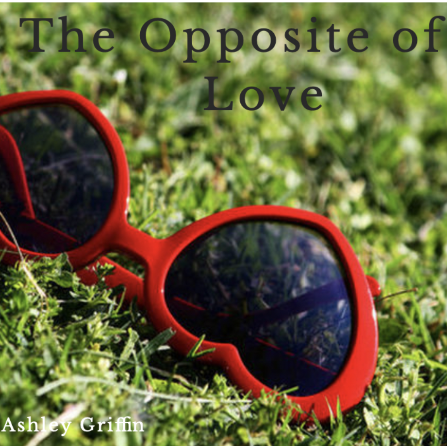 The Opposite of Love 